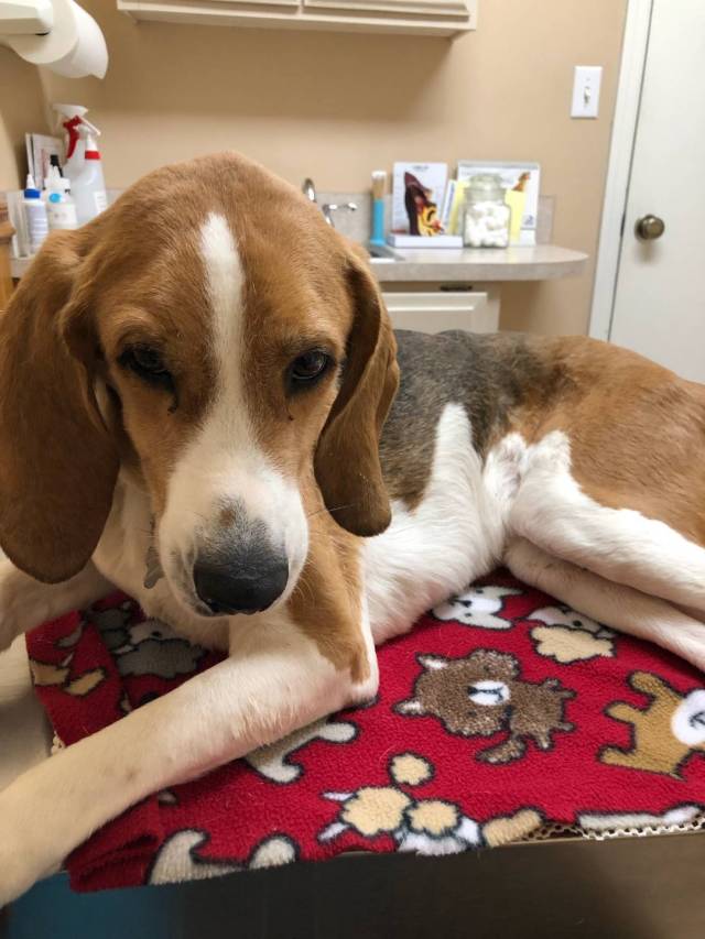 resized_img_0341_5756